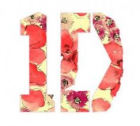 /album/fotogaleria/a1d-jpg1/