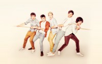 /album/fotogaleria/one-direction-2013-wallpapers-background-hd-wallpaper-jpg1/